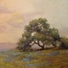 Oak Tree with Clouds - Detail